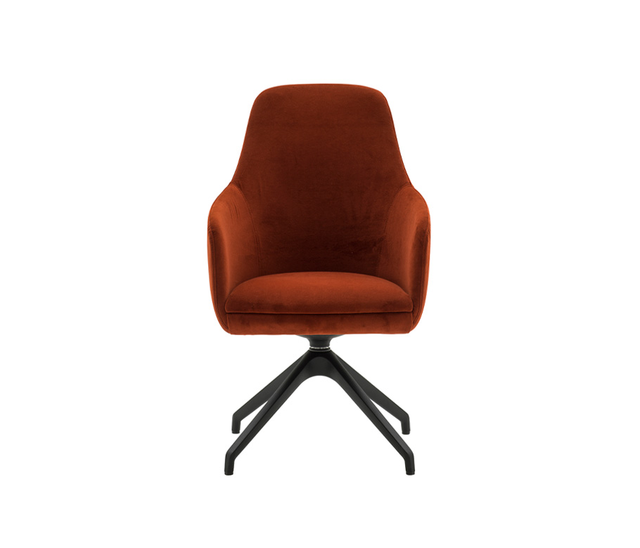 Dani MB AL Drehgestell